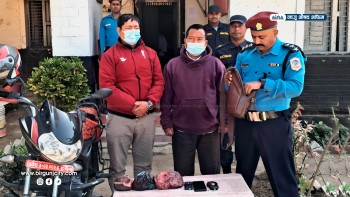 अमलेखगञ्जबाट अढाई किलो अफिमसहित दुई जना पक्राउ