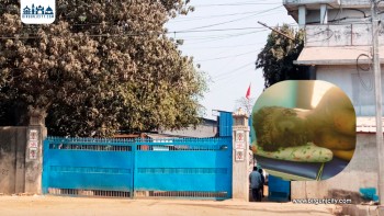 बाराको अशोक स्टील उद्योगमा ग्याँस फुत्किँदा एक मजदुर घाइते