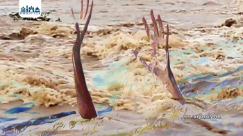 महोत्तरीमा बाढीमा परी एक जनाको मृत्यु, रातु नदीमा पानीको बहाव उच्च