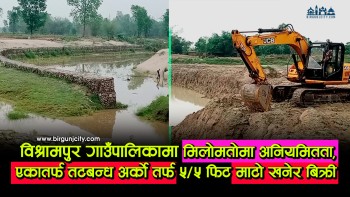 विश्रामपुर गाउँपालिकामा मिलोमतोमा अनियमितता,एकातर्फ तटबन्ध निर्माण अर्कोतर्फ ५/५फिट माटो खनेर बिक्री