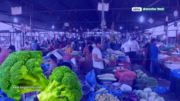 भक्तपुरमा बिक्रीका लागि ल्याइएको ब्रोकाउलीमा अत्यधिक मात्रामा विषादी