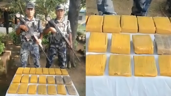 पर्सामा बाख्राकाे खाेरबाट १९ किलो चरेस बरामद