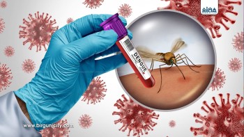 मनसुनसँगै डेङ्गी सङ्क्रमण बढ्ने जोखिम, काठमाडौँमा सबैभन्दा धेरै संक्रमित