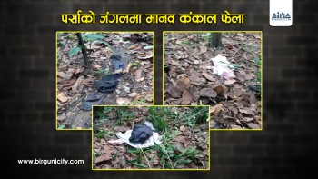 पर्सा राष्ट्रिय निकुञ्जमा फेला पर्‍यो मानव अंगहरू, रहस्यमय अमानवीय घटना सार्वजनिक