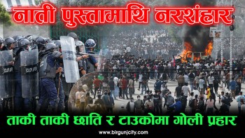 नाती पुस्तामाथि नरशंहार, ताकी ताकी छाति र टाउकोमा गोली प्रहार (भिडियाे सहित)