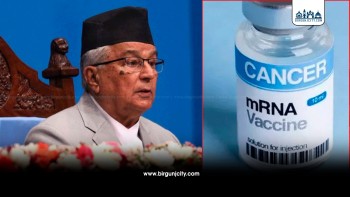 १४ वर्षमुनिकालाई क्यान्सर उपचार निःशुल्क,  राष्ट्रपतिद्वारा नीति तथा कार्यक्रम प्रस्तुत