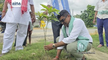 गढिमाइ नगरपालिकामा वृक्षरोपण अभियान सुरु,  ४६ हजार बिरुवा रोपिने
