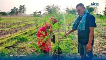 वीरगञ्जका युवा शेखर चौधरीको व्यावसायिक सजिवन खेती : अर्गानिक उत्पादन गरी करोडौं आम्दानीको लक्ष्य