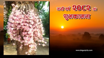 सिराहाको सहलेस फूलबारीमा नयाँ वर्षको दिन मात्रै फुल्ने दुर्लभ फूलले पर्यटक लोभ्याउँदै