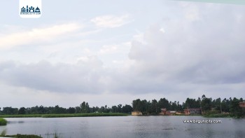 रौतहटमा ४० बिगाहा धानबाली डुबानमा,  वर्षाले आशा होइन पीडा थप्यो