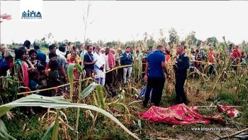 सप्तरीमा जंगली हात्तीको आक्रमणमा एक वृद्धको मृत्यु