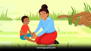 गर्मी बढेसँगै बारामा सर्पदंशका बिरामी वृद्धि, १५ दिनमै ४९ जना अस्पताल भर्ना