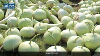 भन्सार नाकामा तरकारी–फलफूल विषादी परीक्षण अनिवार्य गर्न सर्वोच्च अदालतकाे परमादेश (भिडियाे सहित)