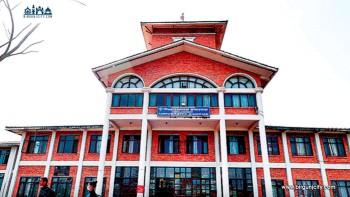 अध्ययन बिदा दुरुपयोग प्रकरणः त्रिविका प्राध्यापकले रकम फिर्ता गर्न थाले, डेढ अर्ब नोक्सानको अनुमान