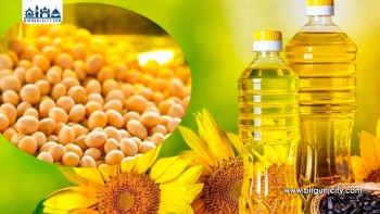 सात महिनामा ९३ अर्बको कच्चा खाद्यतेल आयात, ७८ अर्बको प्रशोधित तेल निर्यात