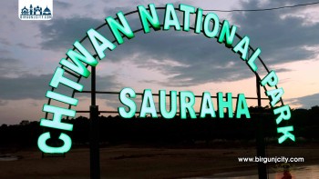 चितवन राष्ट्रिय निकुञ्जमा स्वदेशी पर्यटक बढे , विदेशी पर्यटक घटे