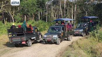 चितवन राष्ट्रिय निकुञ्जमा आजदेखि जिप सफारी सुरु