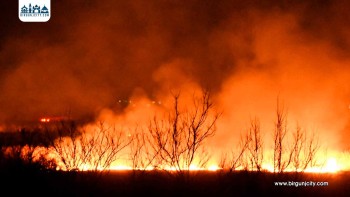 बैराटपुरमा खेतमा आगलागी, २ लाख बराबरको क्षति, एकजना घाइते