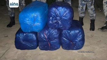 सप्तरी नयाँटोल नजिकैको बगैँचामा ९८ किलो गाँजा फेला