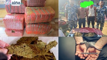 पर्सा: अमरपट्टीबाट ठूलो परिमाणमा गाँजासहित दुई जना पक्राउ