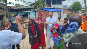 स्थानीयले सांसदलाई पक्राउ गरेर हली बनाएपछि...