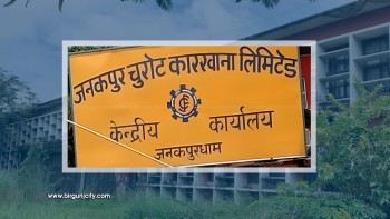 जनकपुर चुरोट कारखानासहित पाँच वटा संस्था बन्द गर्ने सिफारिस