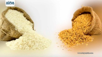 बारा जिल्लामा चैते धान उत्पादनमा वृद्धि, तर मूल्य घट्दा किसान चिन्तित