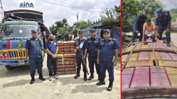 अमलेखगंजमा २३६ किलो गाँजासहित मिनि ट्रक र चालक पक्राउ