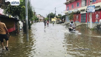 महोत्तरीमा अविरल वर्षासँगै बाढी डुबान : जलेश्वर जलमग्न, तटबन्ध कटान