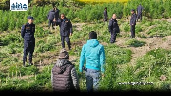 महोत्तरी प्रहरीद्वारा चुरे क्षेत्रका अवैध गाँजा बोट फँडानी