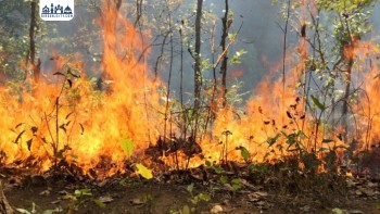 मनाङका बस्तीहरूमा वन डढेलो जोखिम न्यूनीकरणका लागि समुदायस्तरका सचेतना गोष्ठी