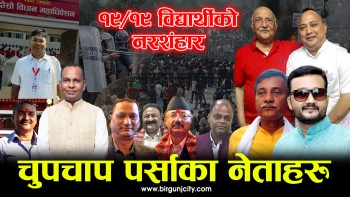 १९/१९ जना विद्यार्थीको नरशंहारमा पर्साका नेताहरू मौन