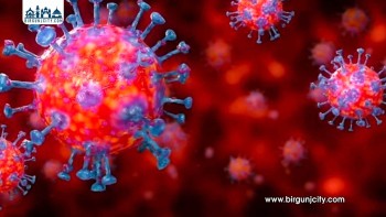 भारतमा निपाह भाइरस देखिएपछि नेपालमा उच्च सतर्कता