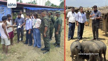 वीरगंजमा जापानिज इन्सेफ्लाइटिस नियन्त्रणका लागि विशेष अनुगमन र जनचेतना अभियान