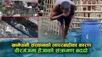 वीरगञ्जमा हैजाको सङ्क्रमण ७९ पुग्याे, स्रोत अझै अज्ञात (भिडियाे सहित)