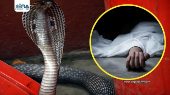 सप्तरीमा सर्पदंशबाट वृद्ध महिलाको मृत्यु