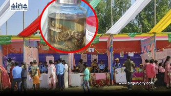 ‘सर्पको महत्त्व बुझौँ’ नारासहित धनुषामा तेस्रो सर्प महोत्सव उद्घाटन