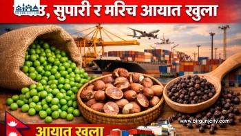 सुपारी आयातमा वृद्धि: कोटा हटाएपछि उद्योगका लागि खुला बजार