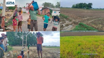 सिम्रौनगढमा पानीको हाहाकार : धानको बिउ ब्याडमै सुक्न थाल्यो, जनजीवन कष्टकर